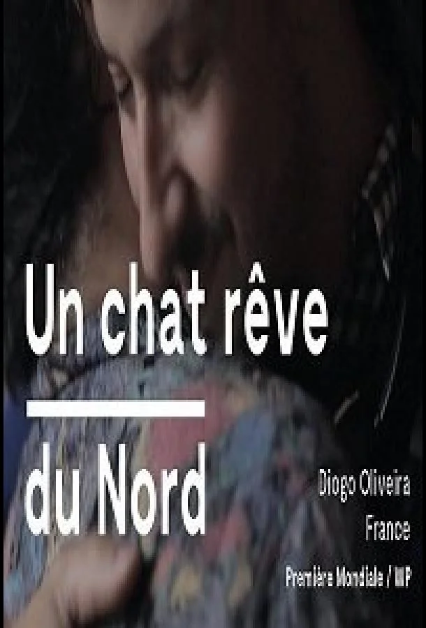 Фильм Кот, мечтающий о севере 2020 смотреть онлайн