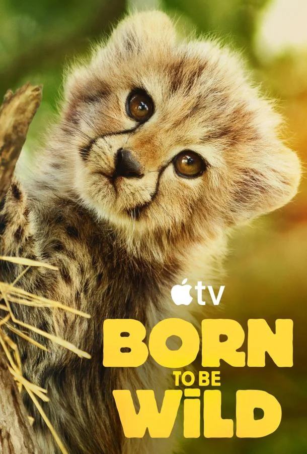 ТВ шоу Возвращение в дикую природу 2025 смотреть онлайн