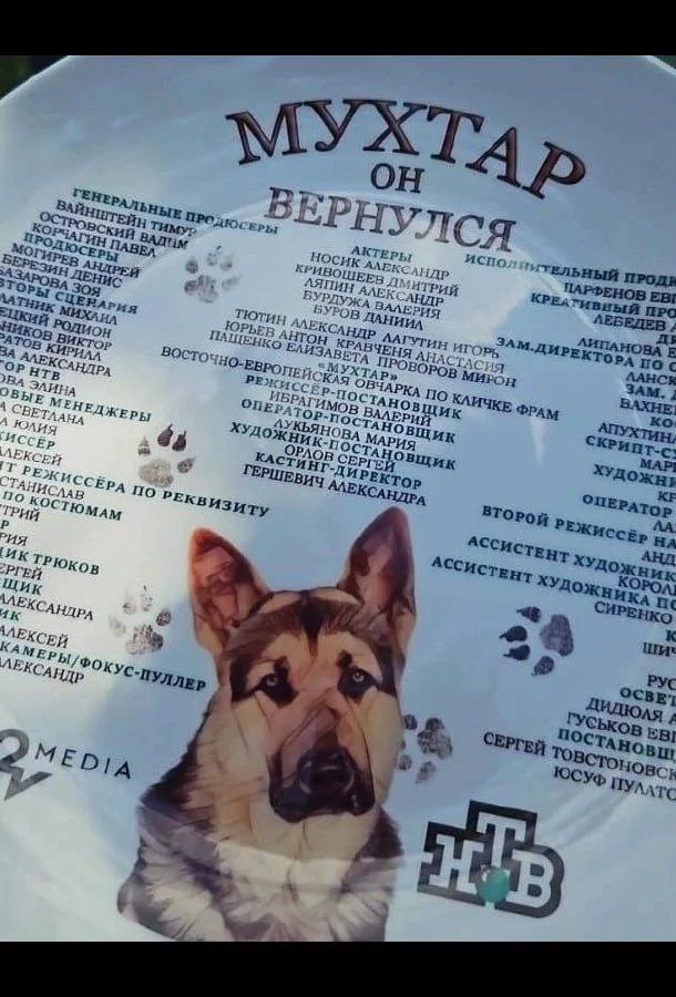 Мухтар. Он вернулся